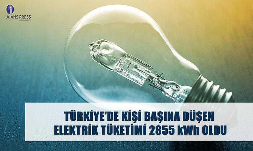 Türkiye’de Kişi Başına Düşen Elektrik Tüketimi Belli Oldu
