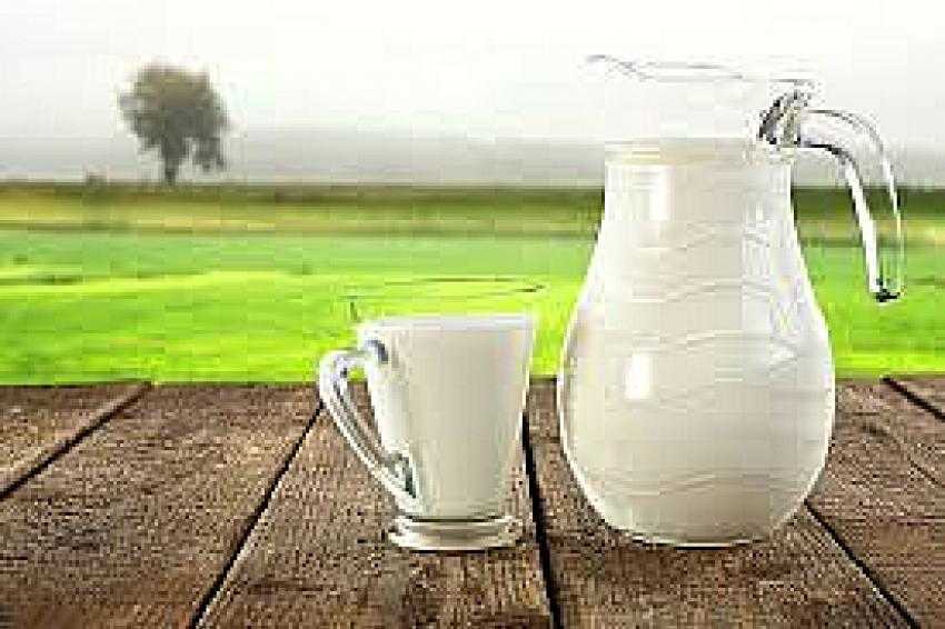 Kalsiyum İhtiyacı İçin Süt Ürünlerinde 1-2-2 Kuralı